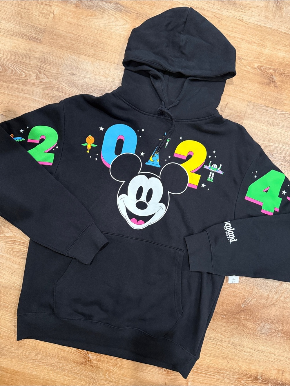 Hoodie with Mickey 2024 design